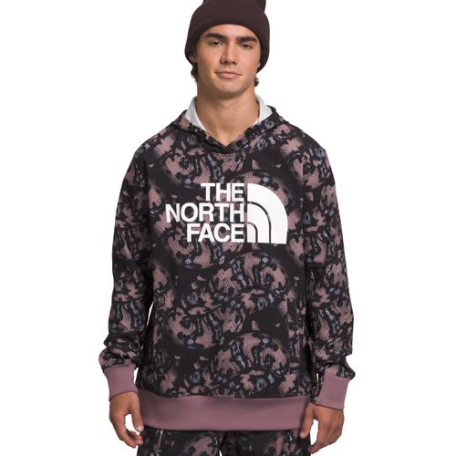 The North Face Tekno Snow Logo Hoodie